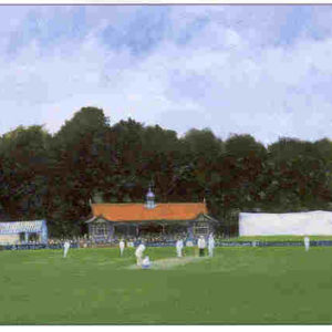 Bath Cricket Festival