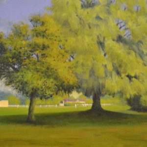 Lichfield Road Stone