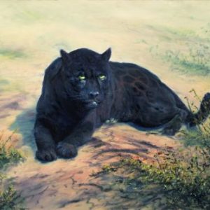 Jaguar-Not for the Road