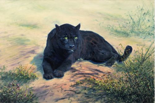 Jaguar-Not for the Road