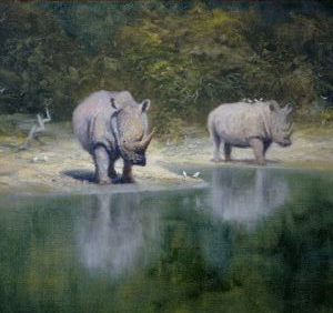 Rhino Reflections