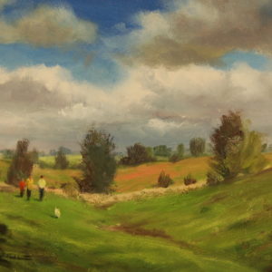 Poppies at Shallow Brook