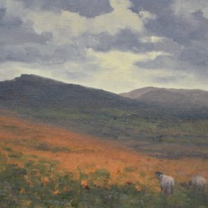 Sheepfold and High Pike