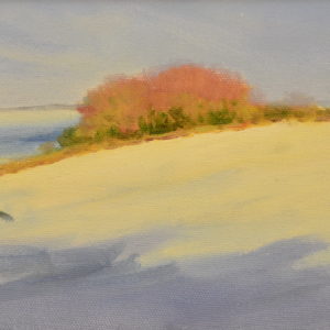 Windmill Tump Rodmarton